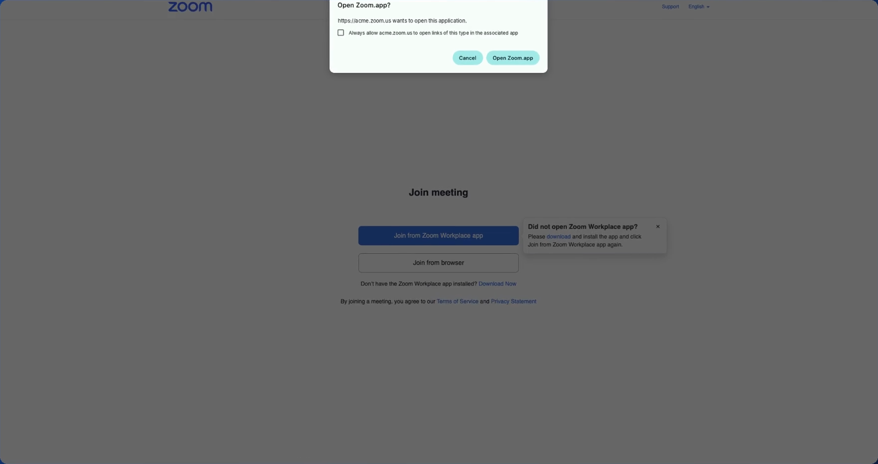 The video meeting join screen the candidate reaches after verification completes.